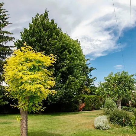 El De San Andres San Andres del Rabanedo