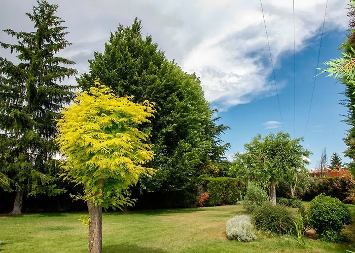 El De San Andres San Andrés del Rabanedo